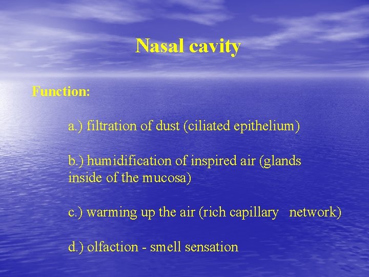Nasal cavity Function: a. ) filtration of dust (ciliated epithelium) b. ) humidification of