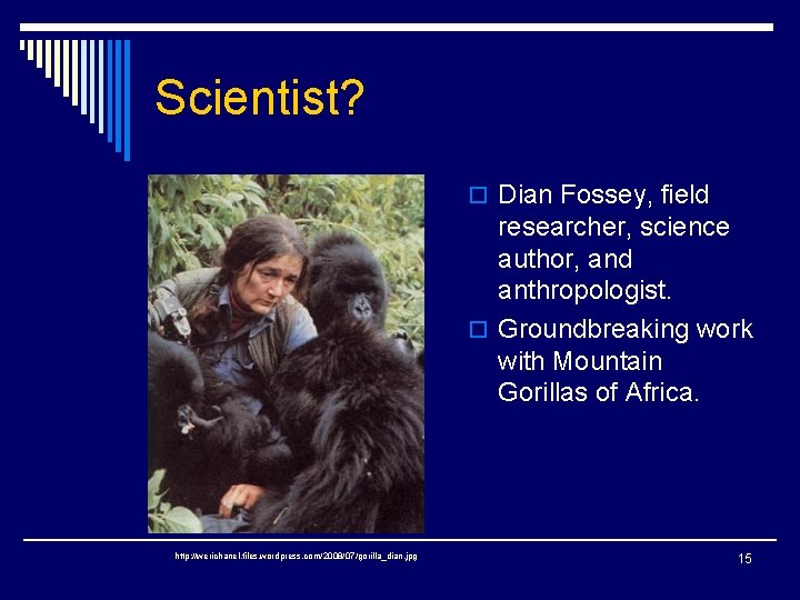 Scientist? o Dian Fossey, field researcher, science author, and anthropologist. o Groundbreaking work with