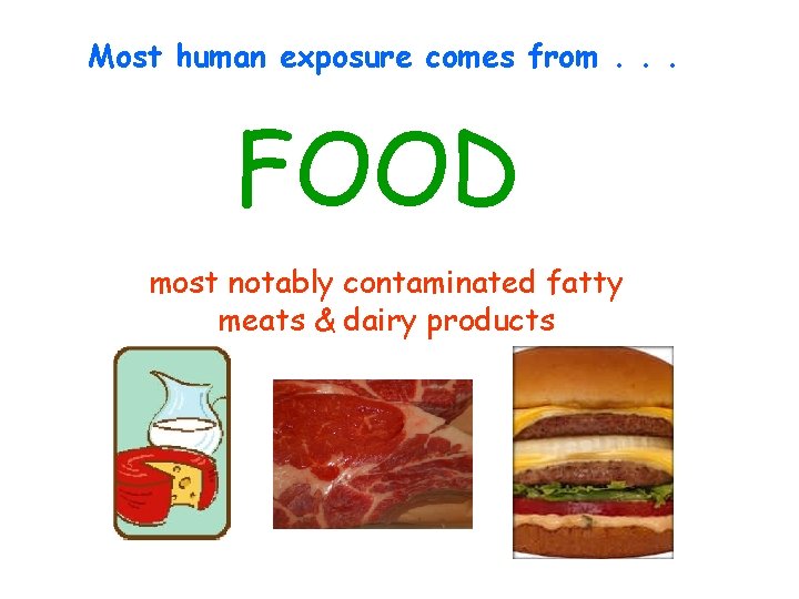 Most human exposure comes from. . . FOOD most notably contaminated fatty meats &