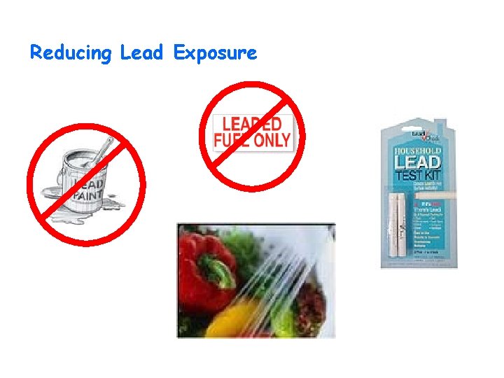 Reducing Lead Exposure 