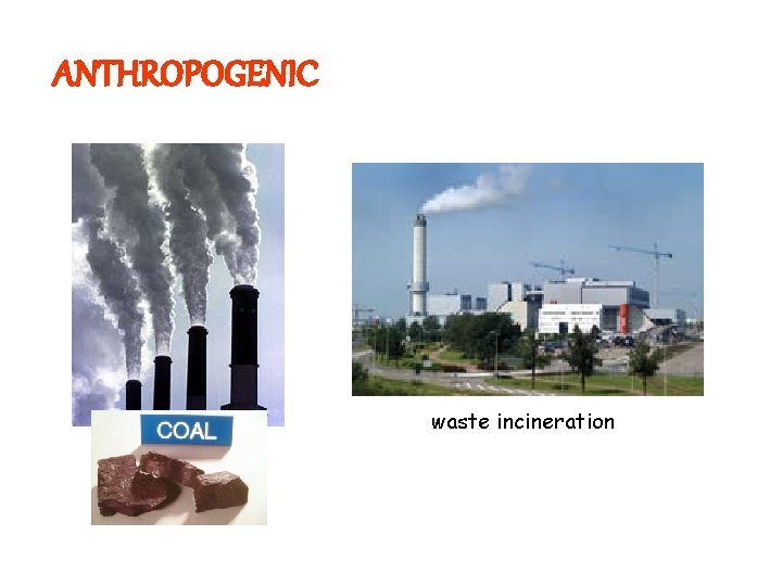 ANTHROPOGENIC waste incineration 