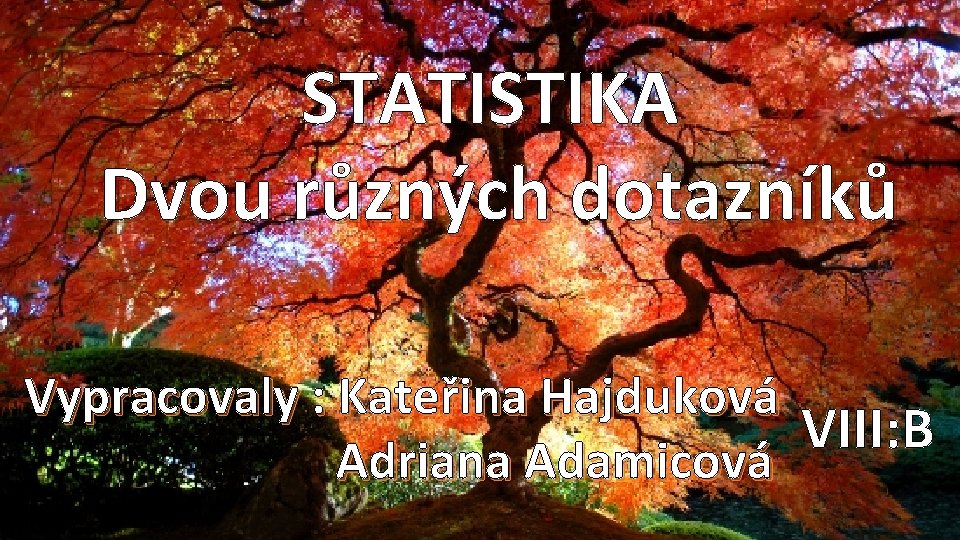 STATISTIKA Dvou různých dotazníků Vypracovaly : Kateřina Hajduková VIII: B Adriana Adamicová 