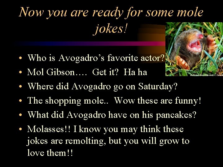 Now you are ready for some mole jokes! • • • Who is Avogadro’s