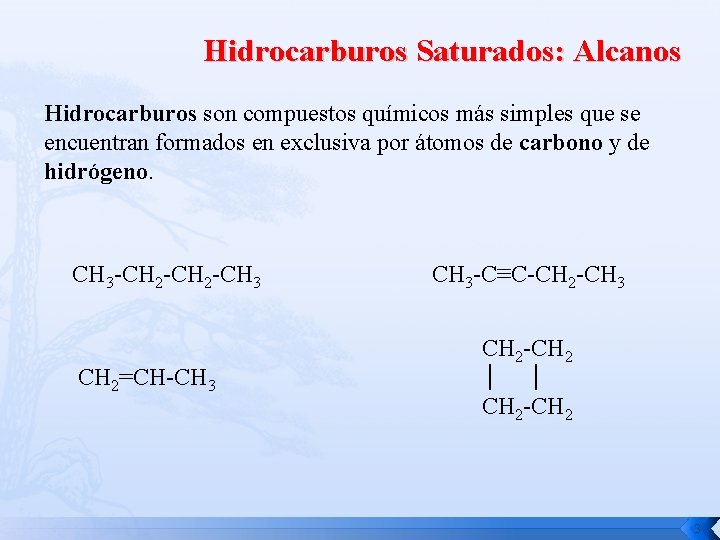 Hidrocarburos Saturados: Alcanos Hidrocarburos son compuestos químicos más simples que se encuentran formados en
