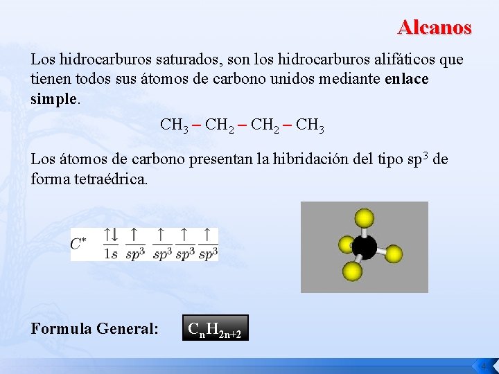 Alcanos Los hidrocarburos saturados, son los hidrocarburos alifáticos que tienen todos sus átomos de