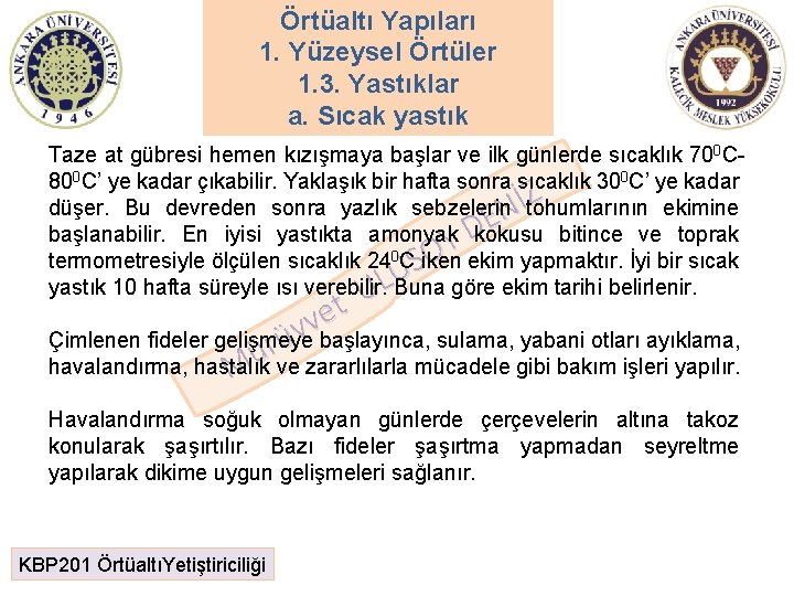 Örtüaltı Yapıları 1. Yüzeysel Örtüler 1. 3. Yastıklar a. Sıcak yastık Taze at gübresi