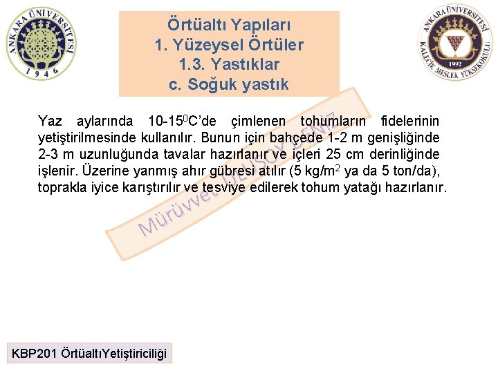 Örtüaltı Yapıları 1. Yüzeysel Örtüler 1. 3. Yastıklar c. Soğuk yastık Yaz aylarında 10