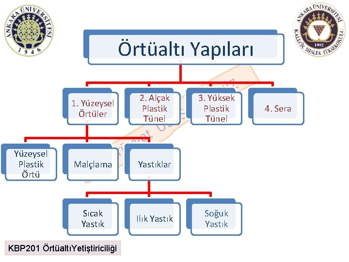 Örtüaltı Yapıları Yüzeysel Plastik Örtü Z İ N 2. Alçak 3. D Yüksek E Örtüaltı Yapıları Yüzeysel Plastik Örtü Z İ N 2. Alçak 3. D Yüksek E