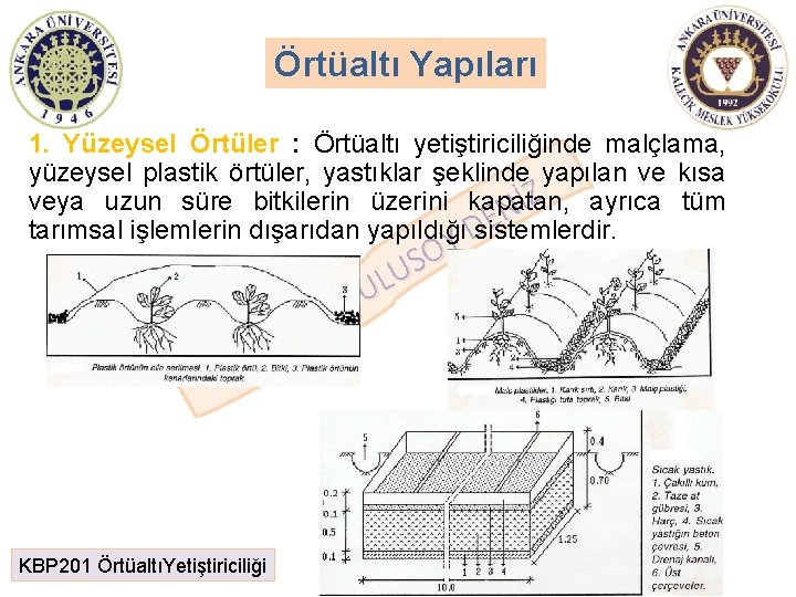 Örtüaltı Yapıları 1. Yüzeysel Örtüler : Örtüaltı yetiştiriciliğinde malçlama, yüzeysel plastik örtüler, yastıklar şeklinde