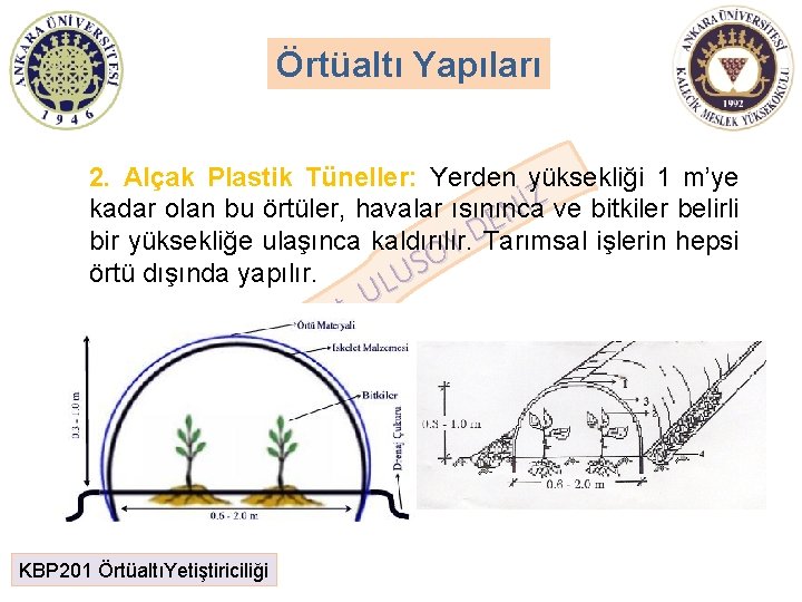 Örtüaltı Yapıları 2. Alçak Plastik Tüneller: Yerden yüksekliği 1 m’ye Z İ kadar olan