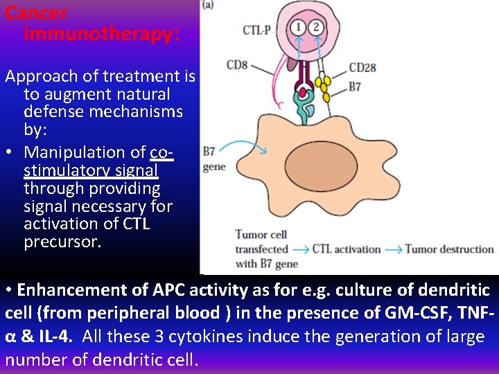 Cancer immunotherapy: Approach of treatment is to augment natural defense mechanisms by: • Manipulation