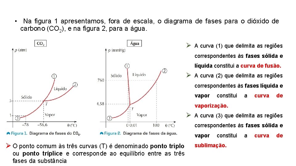  • Na figura 1 apresentamos, fora de escala, o diagrama de fases para