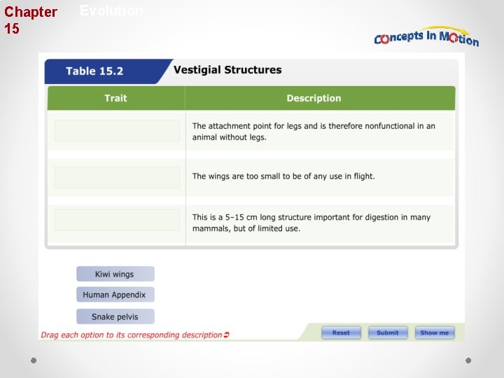 Chapter 15 Evolution 