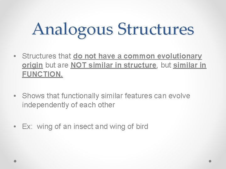 Analogous Structures • Structures that do not have a common evolutionary origin but are