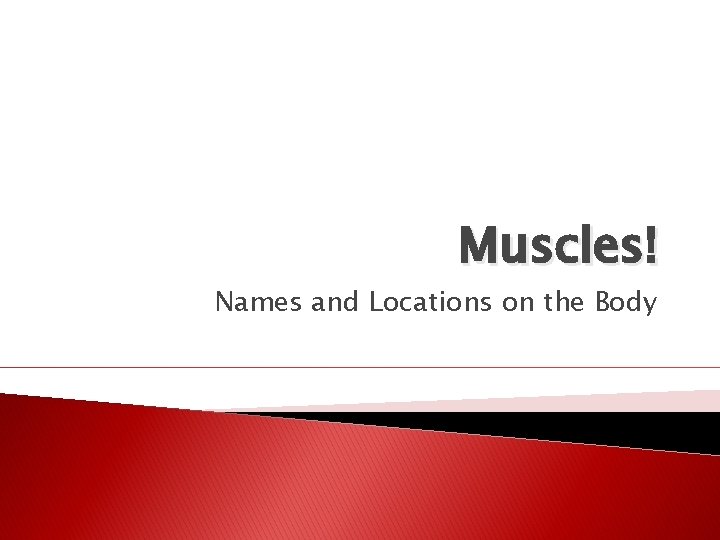 Muscles! Names and Locations on the Body 