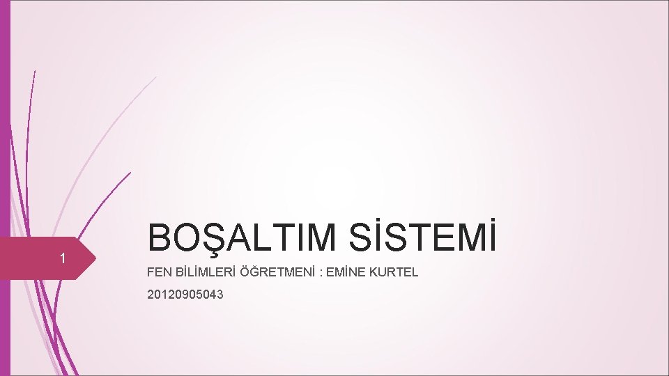 1 BOŞALTIM SİSTEMİ FEN BİLİMLERİ ÖĞRETMENİ : EMİNE KURTEL 20120905043 