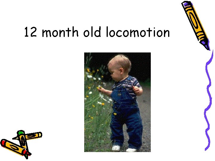 12 month old locomotion 