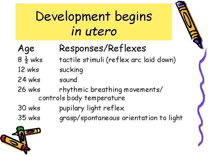 Development begins in utero Age Responses/Reflexes 8 ½ wks tactile stimuli (reflex arc laid