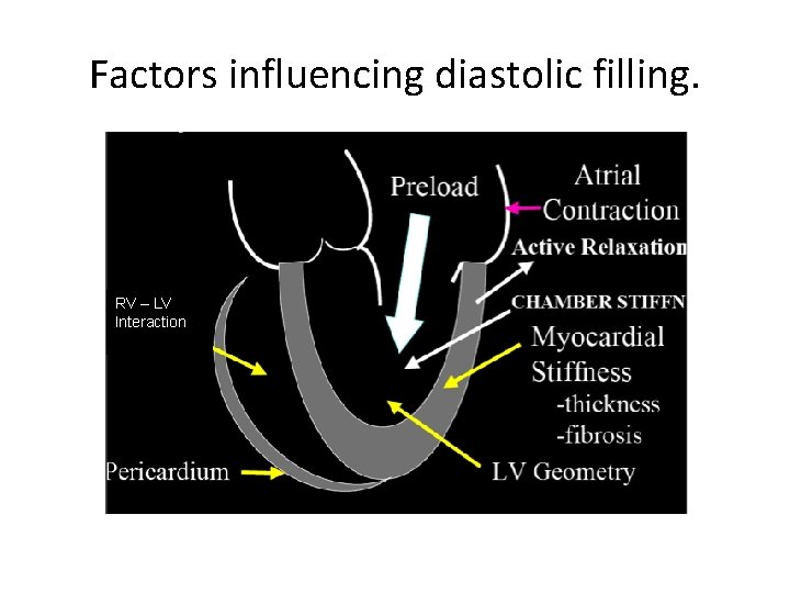 Factors influencing diastolic filling. RV – LV Interaction 