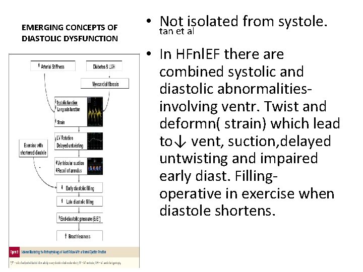 EMERGING CONCEPTS OF DIASTOLIC DYSFUNCTION • Not isolated from systole. tan et al •