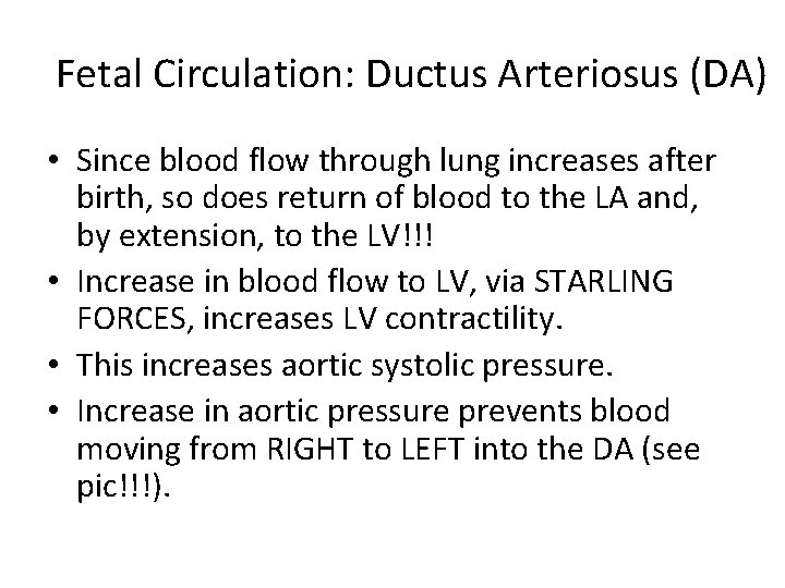 Fetal Circulation: Ductus Arteriosus (DA) • Since blood flow through lung increases after birth,