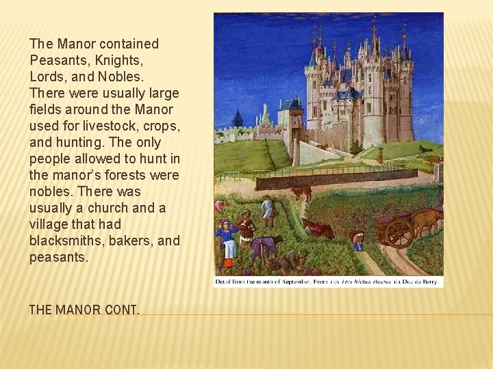The Manor contained Peasants, Knights, Lords, and Nobles. There were usually large fields around