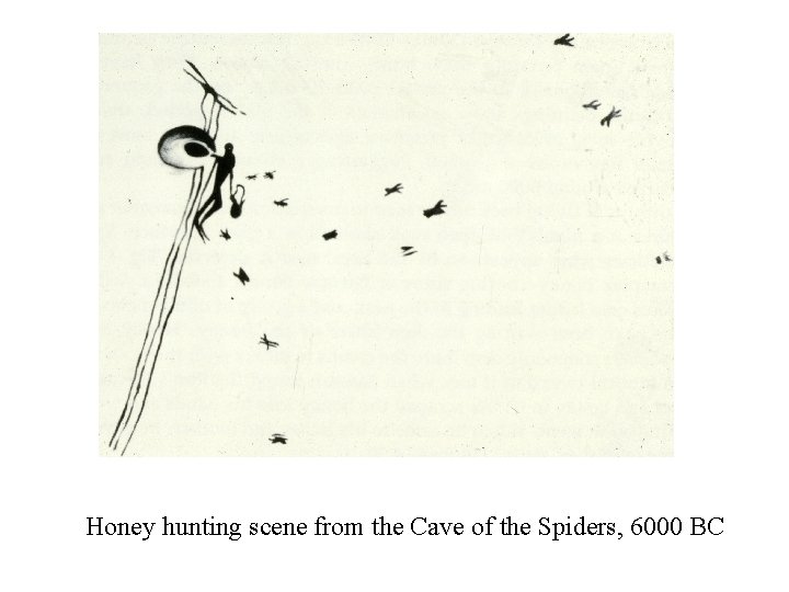 Honey hunting scene from the Cave of the Spiders, 6000 BC 
