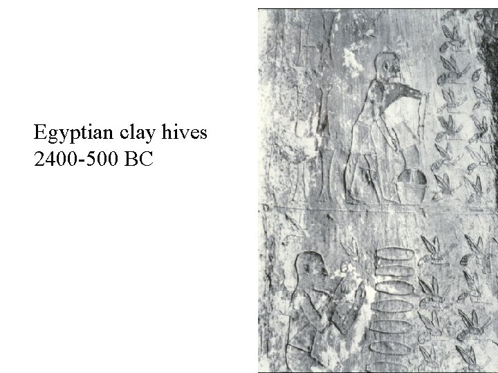 Egyptian clay hives 2400 -500 BC 