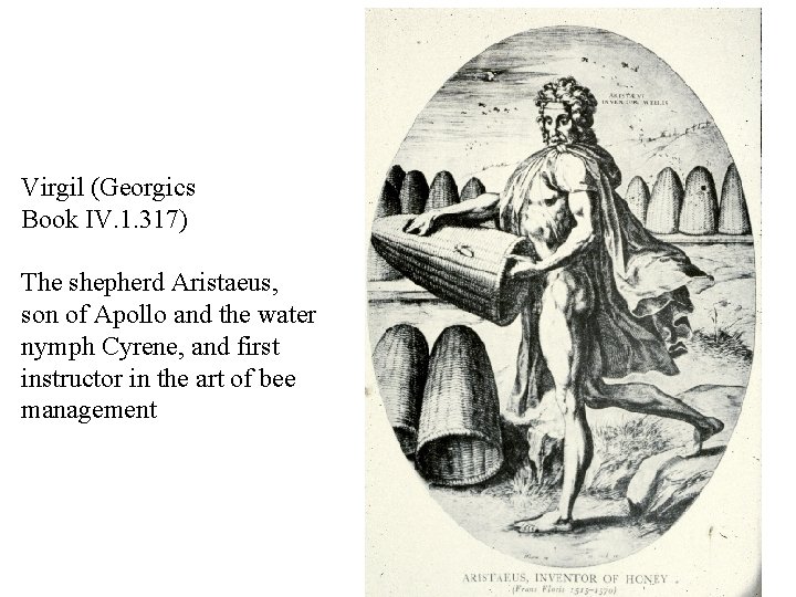 Virgil (Georgics Book IV. 1. 317) The shepherd Aristaeus, son of Apollo and the
