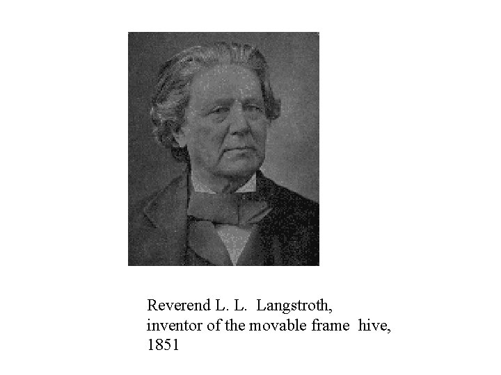 Reverend L. L. Langstroth, inventor of the movable frame hive, 1851 