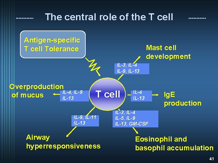 The central role of the T cell Antigen-specific T cell Tolerance Mast cell development