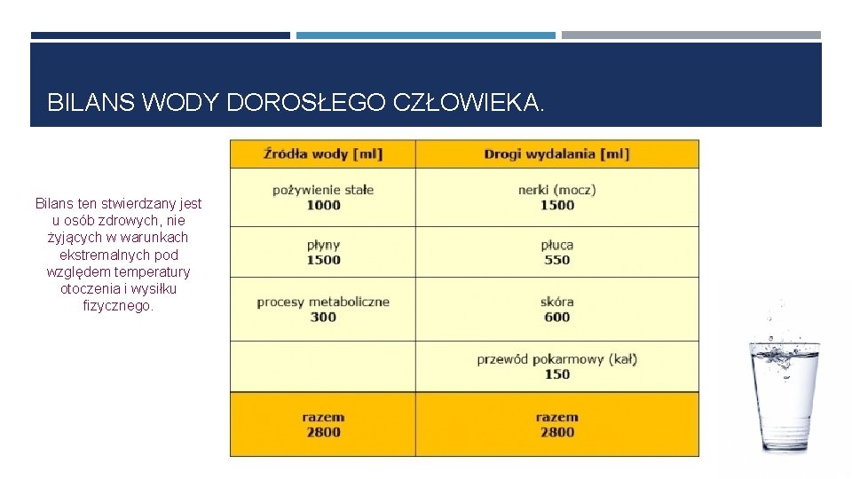 BILANS WODY DOROSŁEGO CZŁOWIEKA. Bilans ten stwierdzany jest u osób zdrowych, nie żyjących w