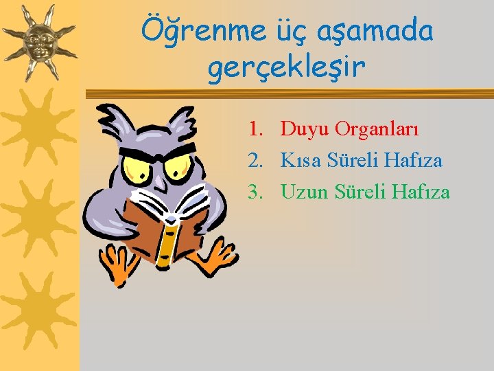 Öğrenme üç aşamada gerçekleşir 1. Duyu Organları 2. Kısa Süreli Hafıza 3. Uzun Süreli