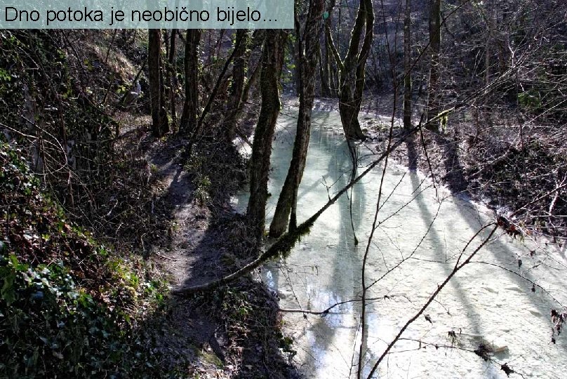 Dno potoka je neobično bijelo… 