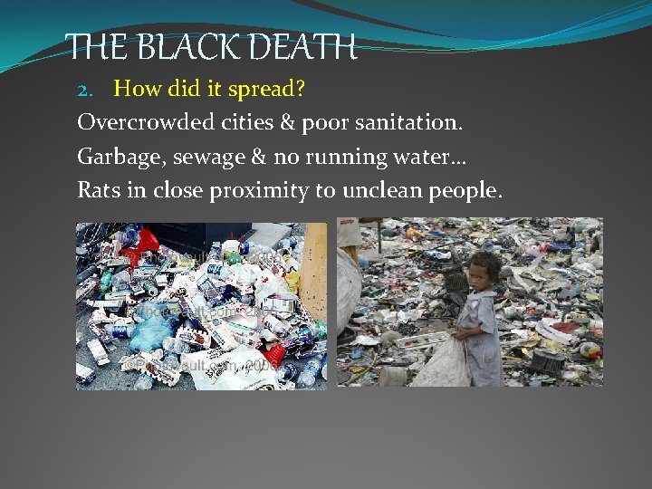 THE BLACK DEATH 2. How did it spread? Overcrowded cities & poor sanitation. Garbage,