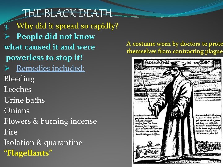 THE BLACK DEATH 3. Why did it spread so rapidly? Ø People did not