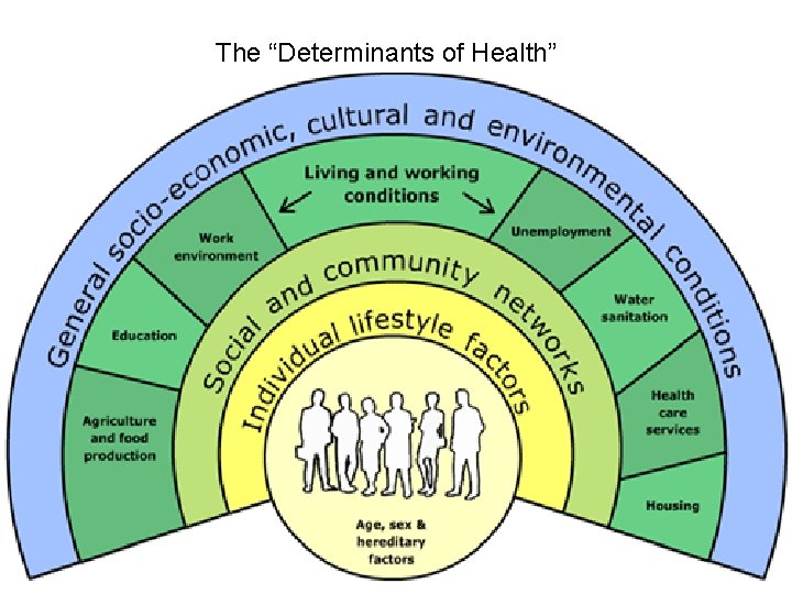 The “Determinants of Health” Graphical representation 