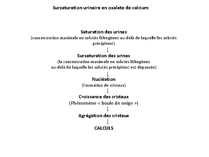 Sursaturation urinaire en oxalate de calcium Saturation des urines (concentration maximale en solutés lithogènes