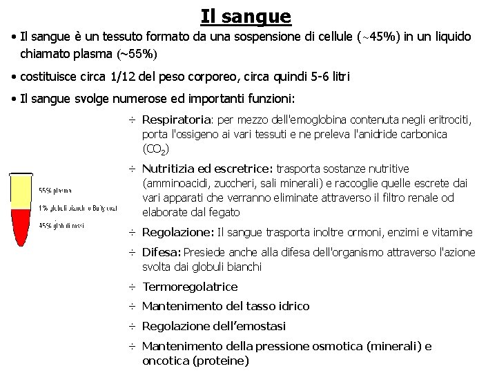 Il sangue • Il sangue è un tessuto formato da una sospensione di cellule