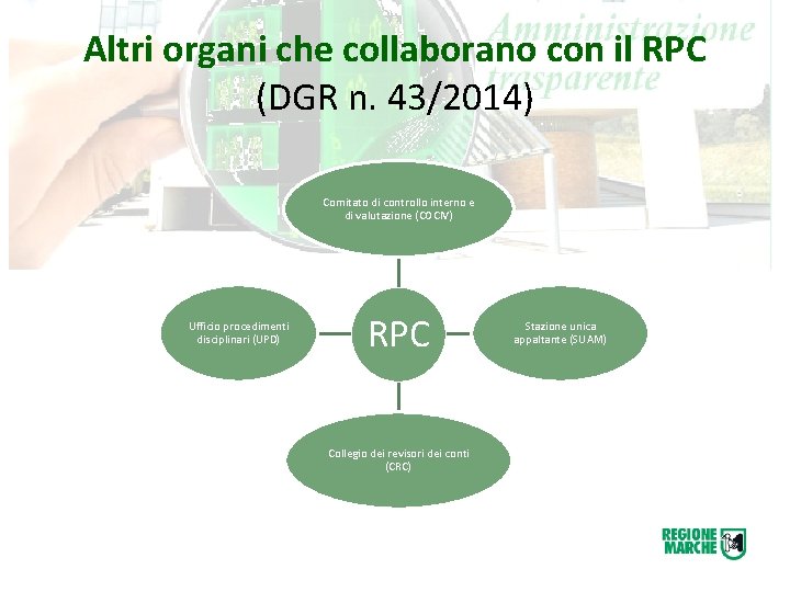 Altri organi che collaborano con il RPC (DGR n. 43/2014) Comitato di controllo interno