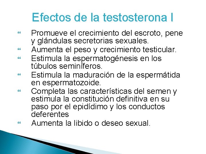 Efectos de la testosterona I Promueve el crecimiento del escroto, pene y glándulas secretorias Efectos de la testosterona I Promueve el crecimiento del escroto, pene y glándulas secretorias