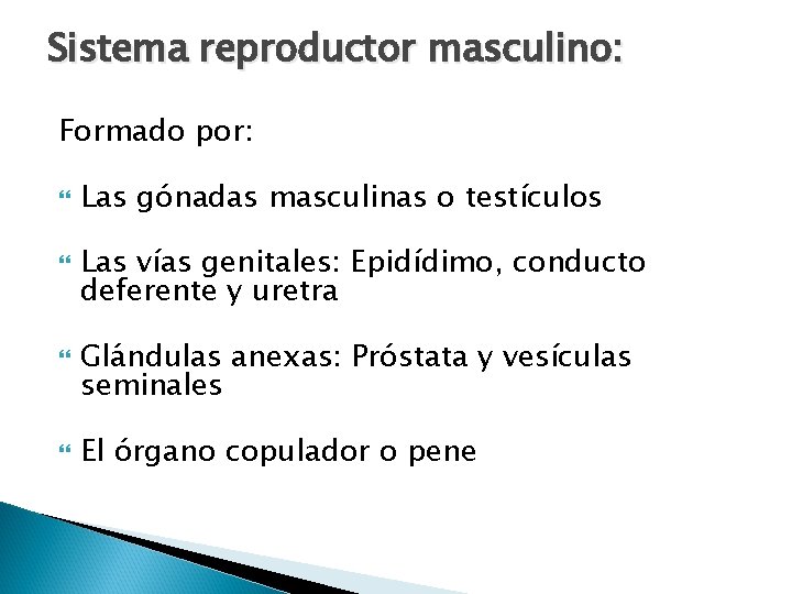 Sistema reproductor masculino: Formado por: Las gónadas masculinas o testículos Las vías genitales: Epidídimo, Sistema reproductor masculino: Formado por: Las gónadas masculinas o testículos Las vías genitales: Epidídimo,