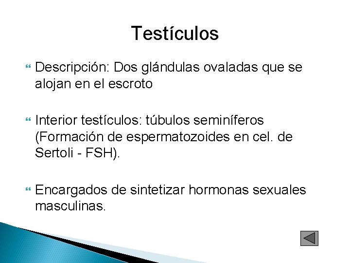 Testículos Descripción: Dos glándulas ovaladas que se alojan en el escroto Interior testículos: túbulos Testículos Descripción: Dos glándulas ovaladas que se alojan en el escroto Interior testículos: túbulos