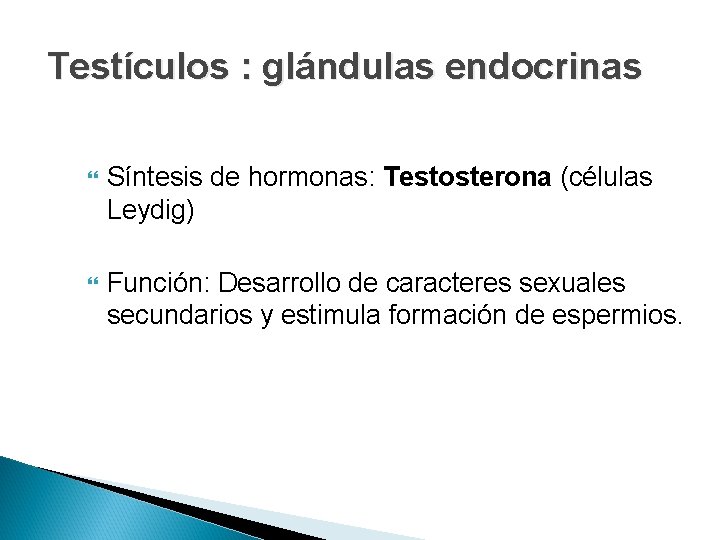 Testículos : glándulas endocrinas Síntesis de hormonas: Testosterona (células Leydig) Función: Desarrollo de caracteres Testículos : glándulas endocrinas Síntesis de hormonas: Testosterona (células Leydig) Función: Desarrollo de caracteres