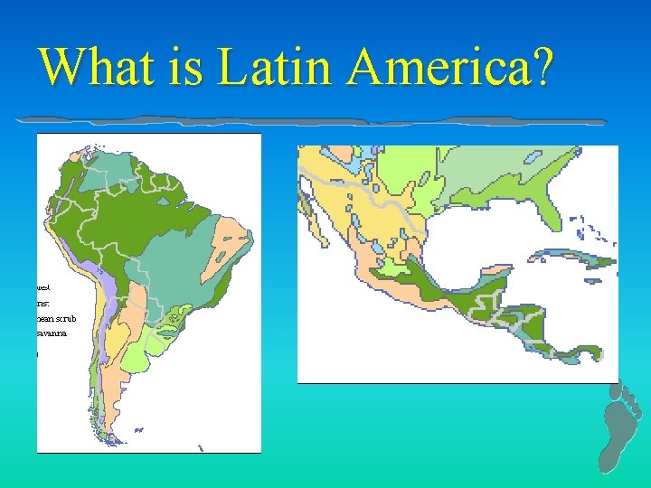 What is Latin America? 