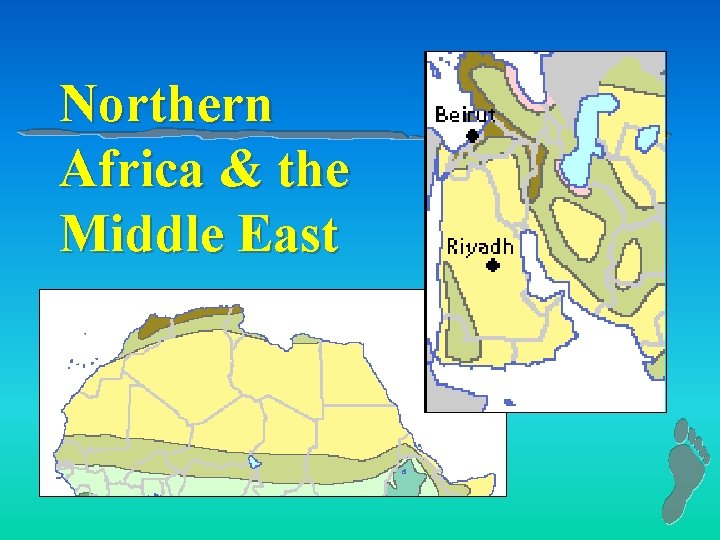 Northern Africa & the Middle East 