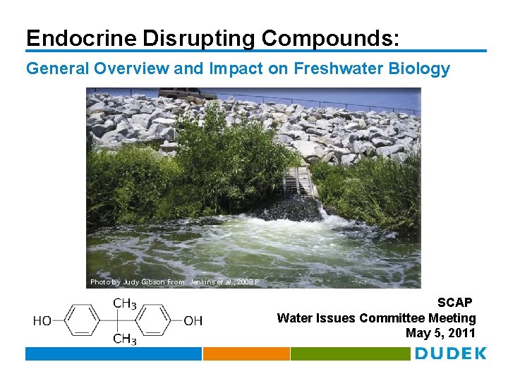 Endocrine Disrupting Compounds: General Overview and Impact on Freshwater Biology Photo by Judy Gibson