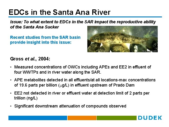 EDCs in the Santa Ana River Issue: To what extent to EDCs in the