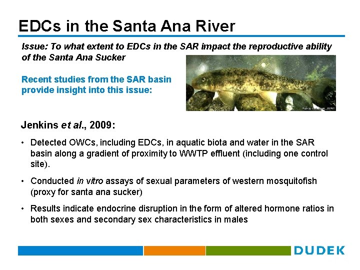 EDCs in the Santa Ana River Issue: To what extent to EDCs in the