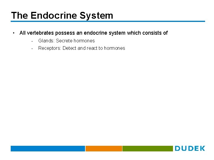 The Endocrine System • All vertebrates possess an endocrine system which consists of -